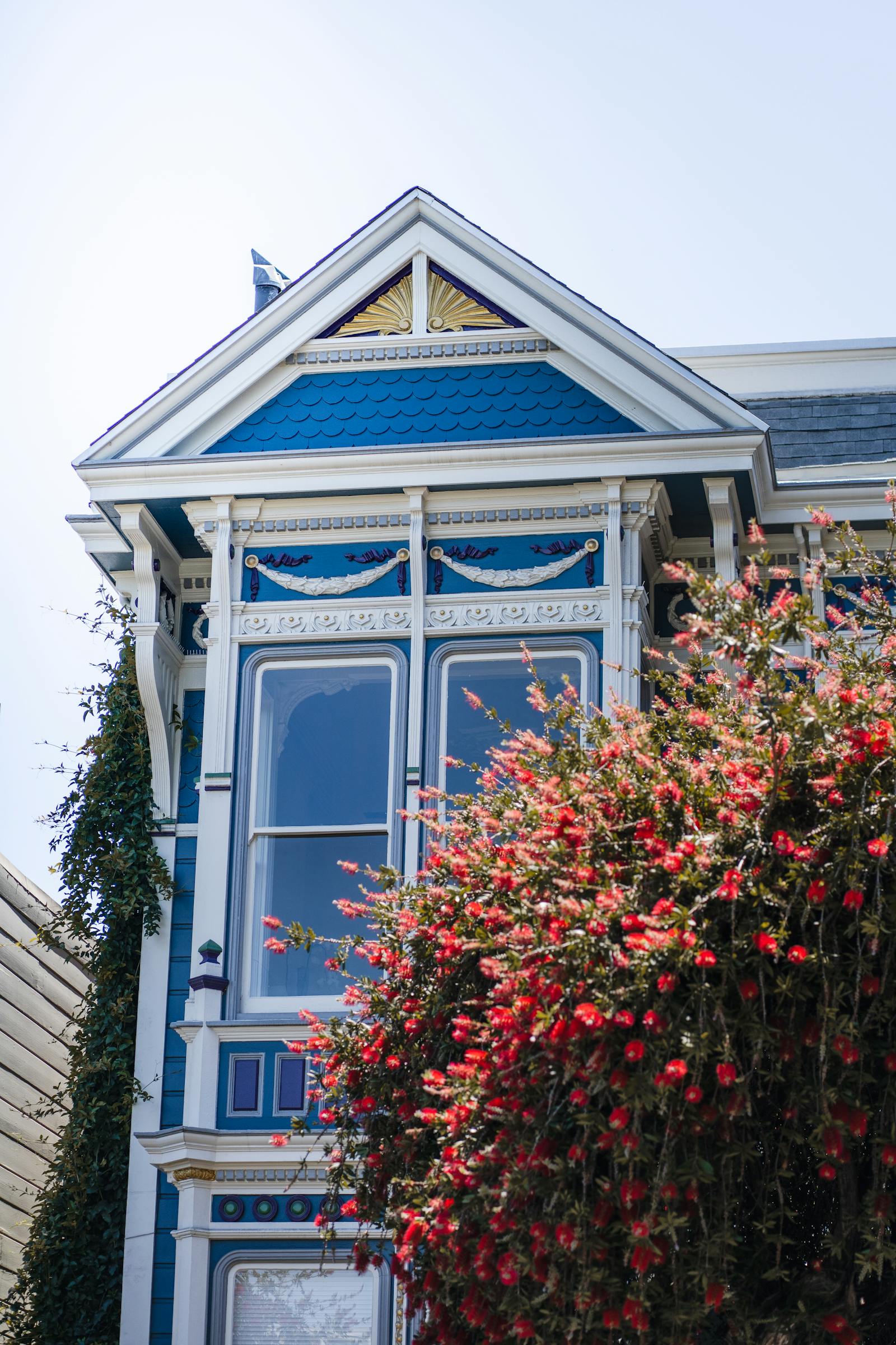 A Victorian bay window framed by red bougainvillea in San Francisco